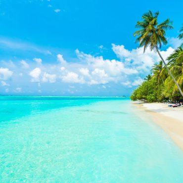 Caribe