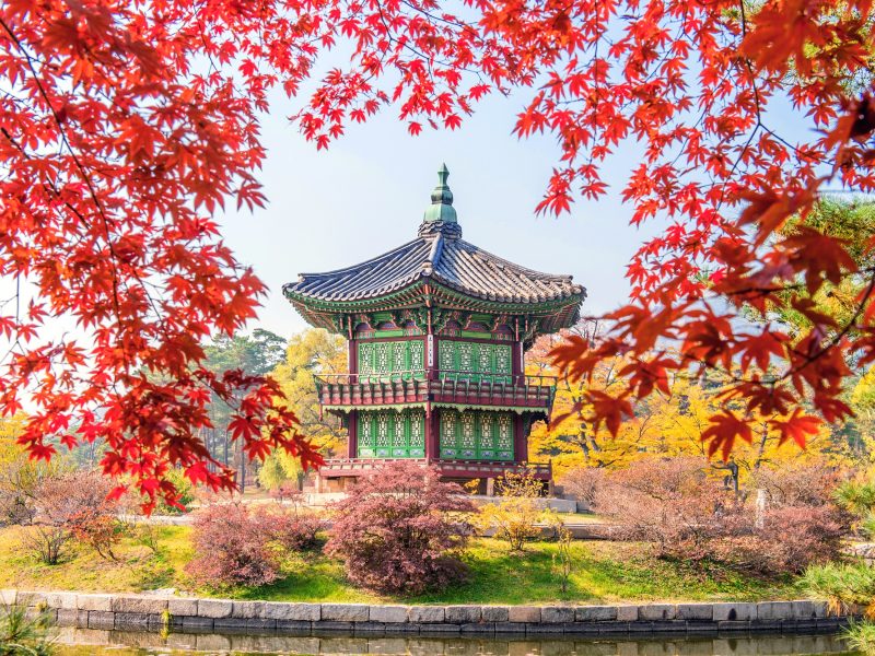Corea del Sur: Seúl, Busan y tradición