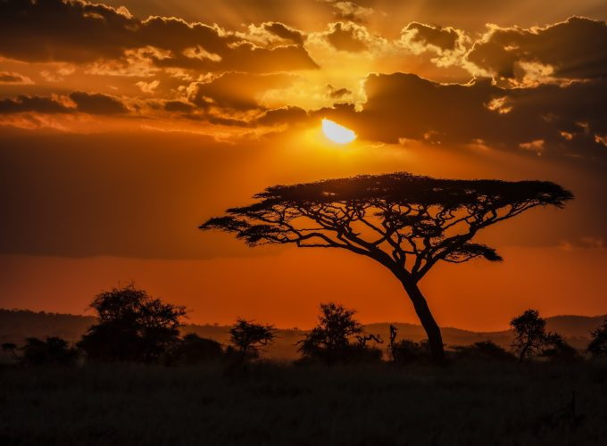 Uganda: gorilas, lagos y selva tropical